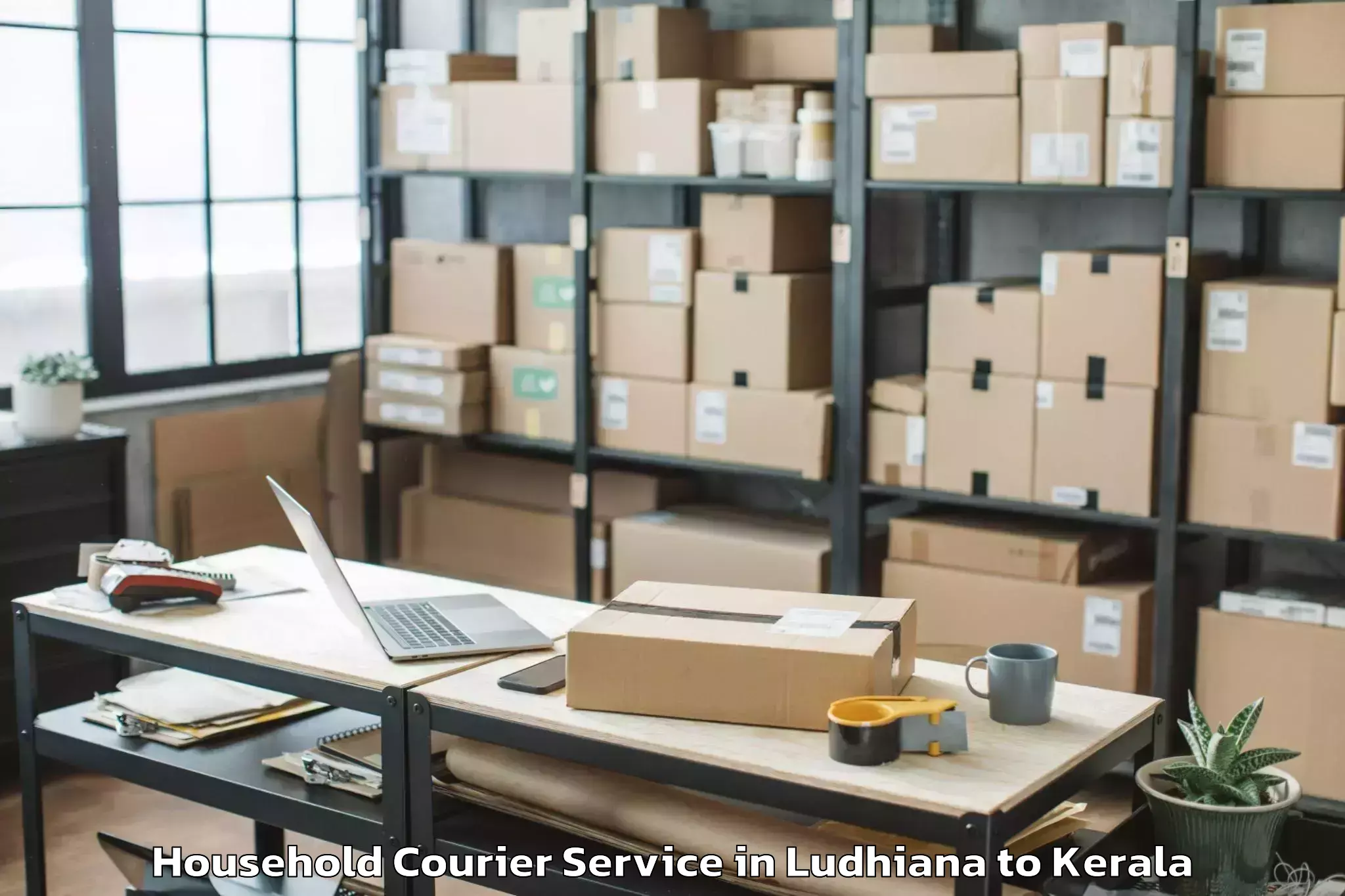 Hassle-Free Ludhiana to Naduvannur Household Courier